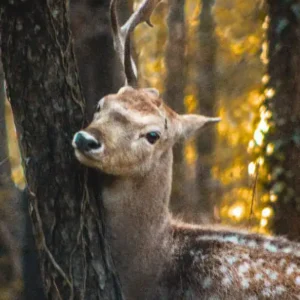 WhatsApp Image 2022-12-27 at 10.57.33 AM E