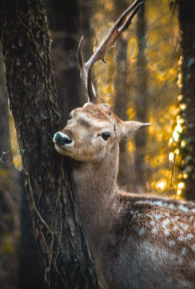 WhatsApp Image 2022-12-27 at 10.57.33 AM